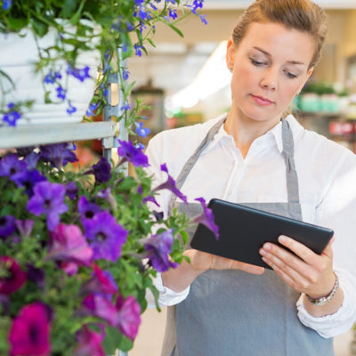 Top 5 Questions of Small Businesses Concerning Internet Search Advertising