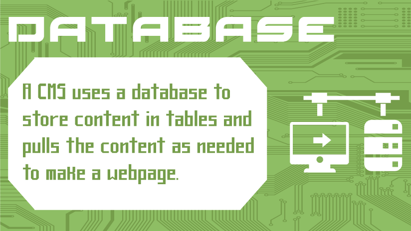 SEO Database