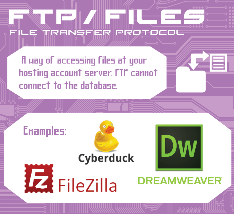 SEO FTP Files