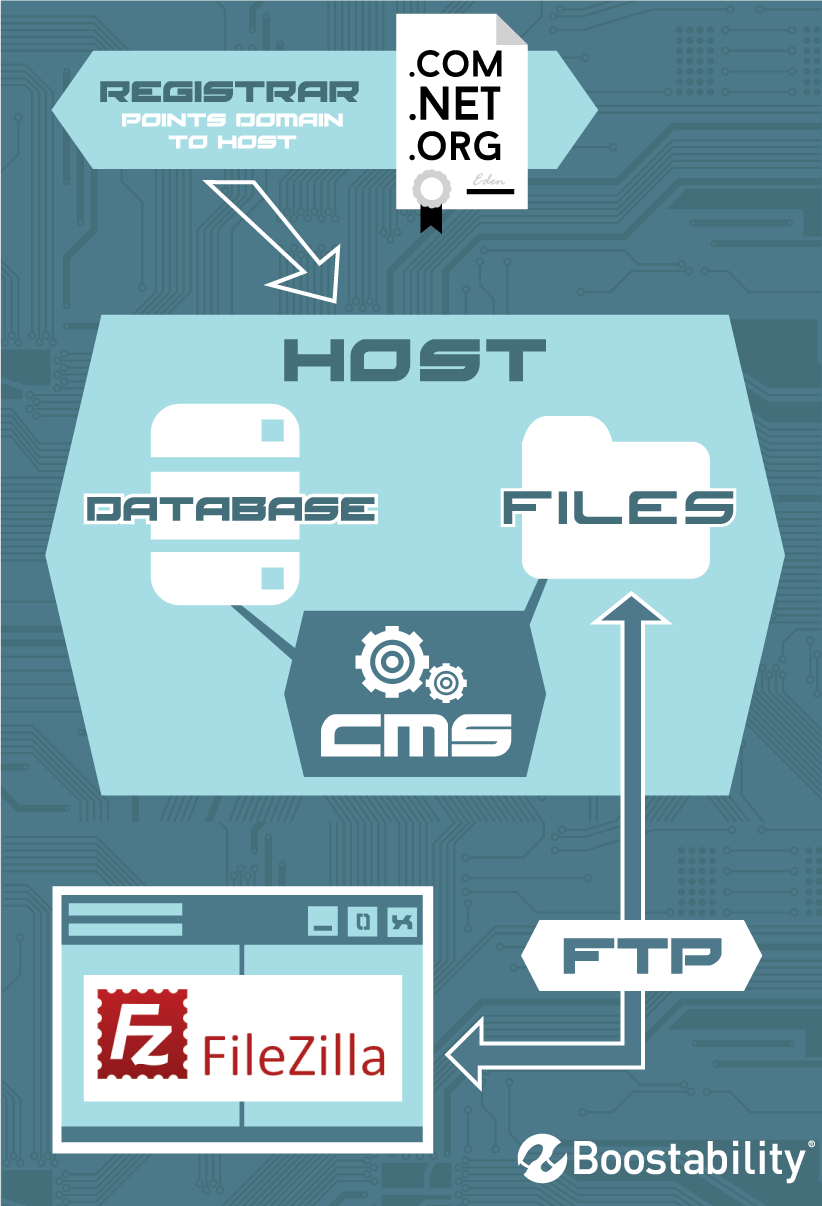 SEO Logins Infographic