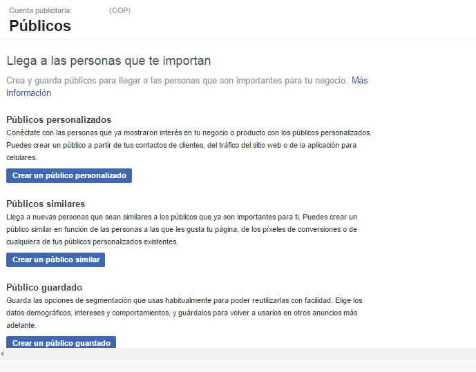 como-crear-y-subir-un-publico-personalizado-con-facebook-1-authors-image