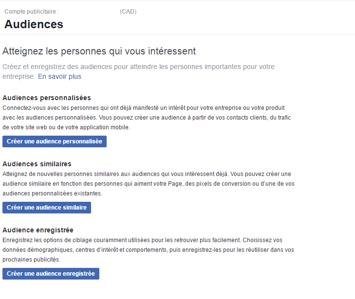 comment-creer-et-charger-une-audience-personnalisee-avec-facebook-1-authors-image