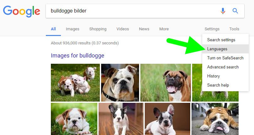 Bulldog Language Search