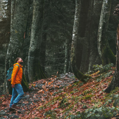 Man in the woods looking at the trees.