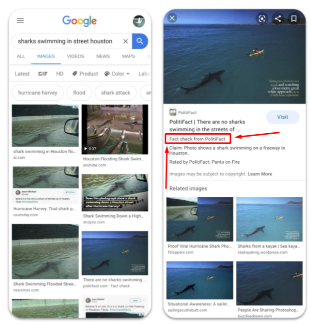 Google image search example