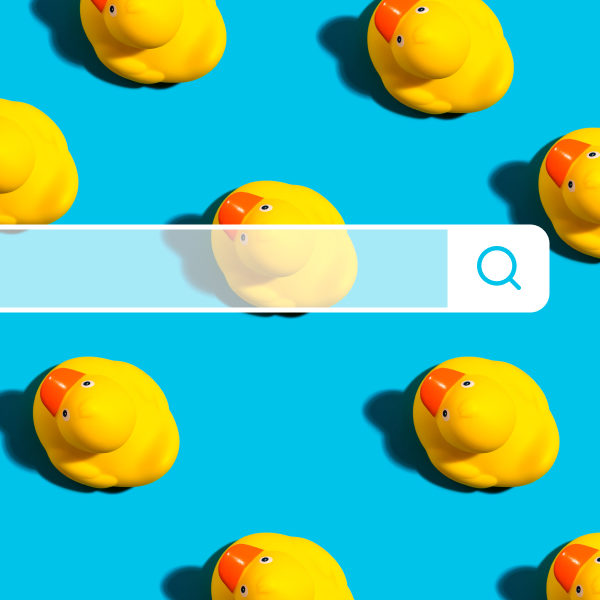 Rubber ducks with a search bar