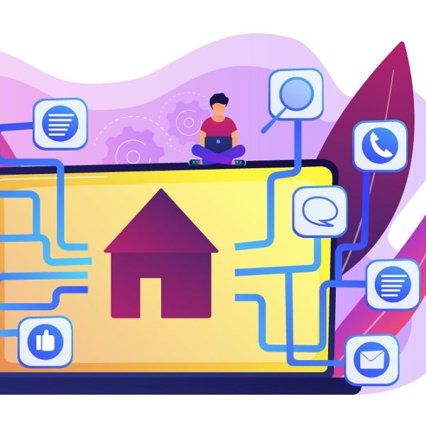 Development service, smart house, IOT technology, network programming.
