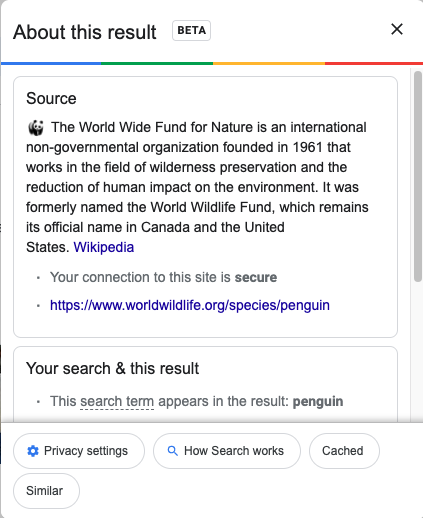 about this result google serp example