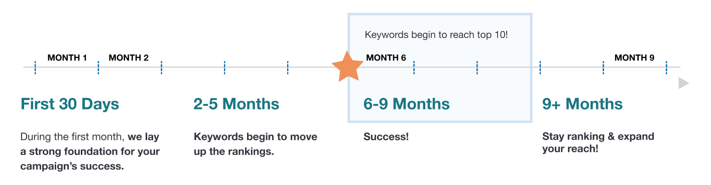 seo timeline example