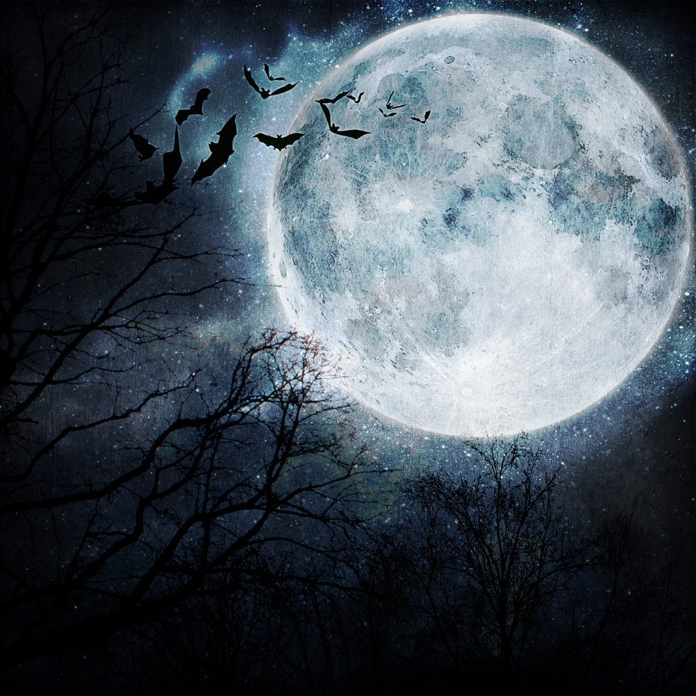 Halloween Themed Playlist