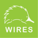 Wires Logo Boost Cares
