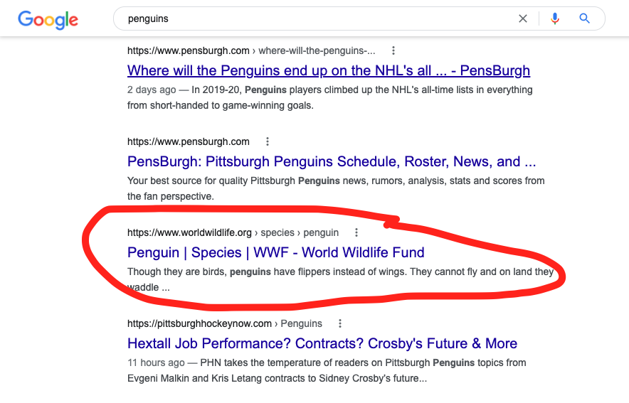 google cache on serps