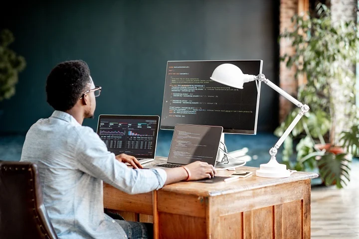 web-developer-option-1